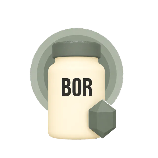 Bor